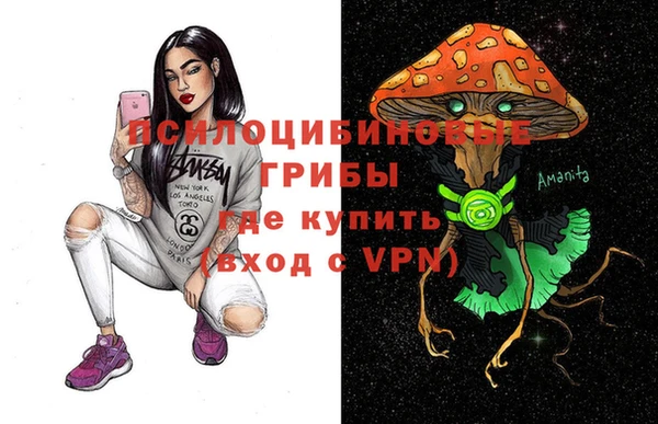 дживик Вязьма