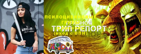МДПВ Горнозаводск
