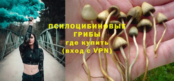 mdpv Протвино