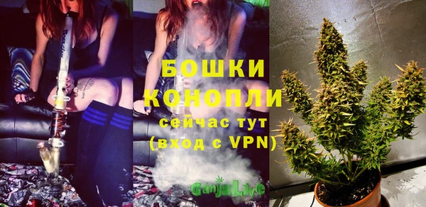 МДПВ Горнозаводск