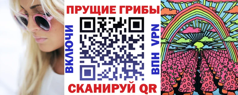 Купить  Карабаново  Псилоцибиновые грибы MAGIC MUSHROOMS 